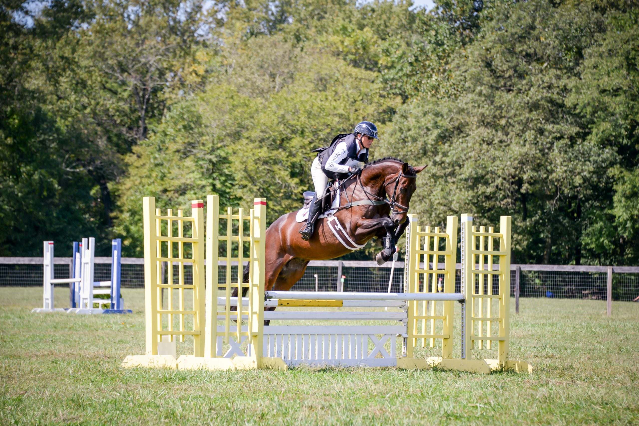 Excel Star Double Clover