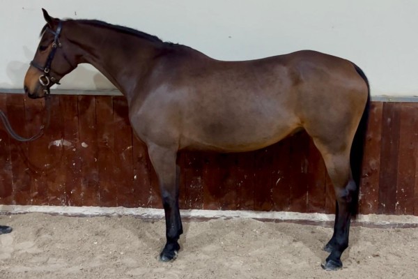 Excel Star Eammon