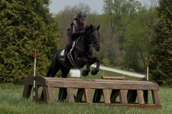 Excel Star Indelible