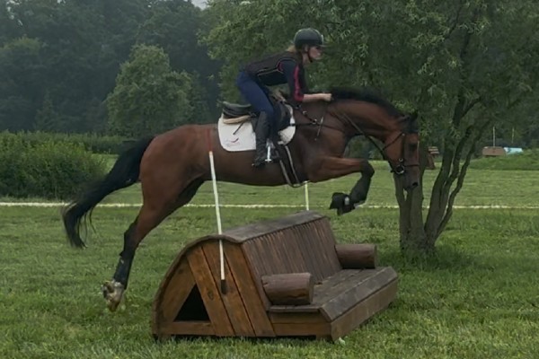 Excel Star Henry