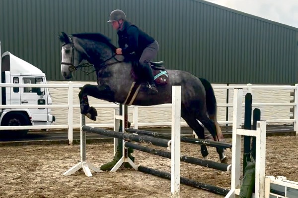 Excel Star Timone