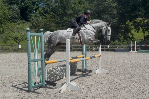 Excel Star Finn McCool