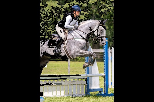 Excel Star Finn McCool