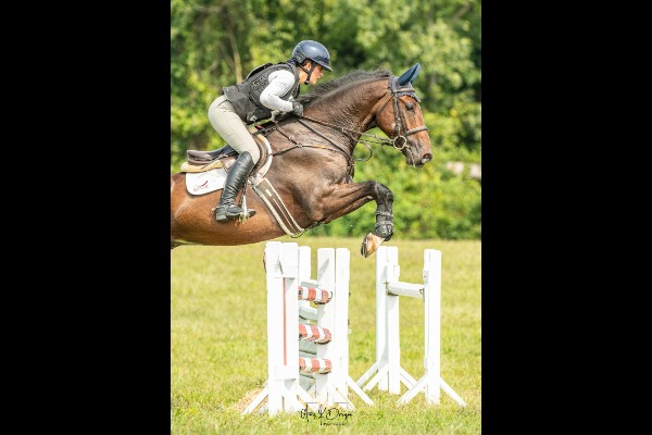 Excel Star Galway Boy