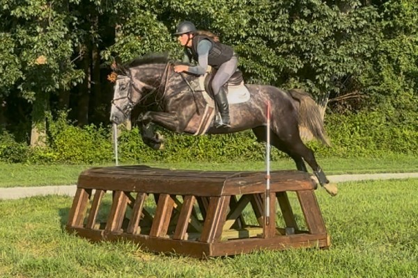 Excel Star Victor