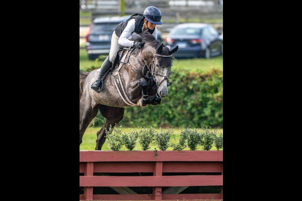 Excel Star Victor