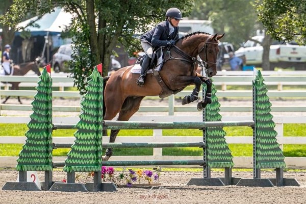 Excel Star Double Clover