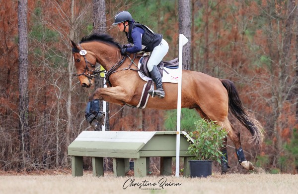 Excel Star Touchdown